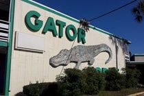 Gator Lodge Джэксонвиль Экстерьер фото